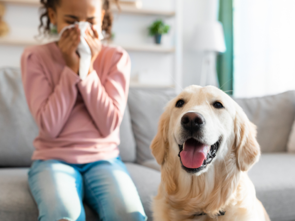 Alergia a los animales: cómo convivir con mascotas si eres alérgico