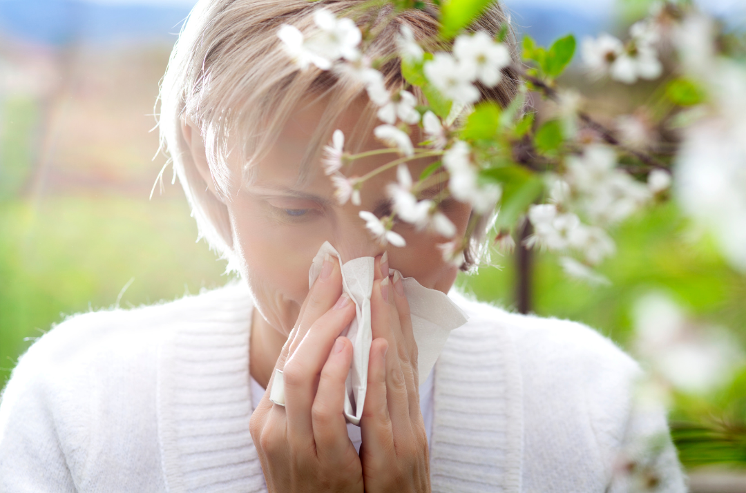 En este momento estás viendo ¿Por qué aparecen las alergias y cuáles son los factores influyentes?